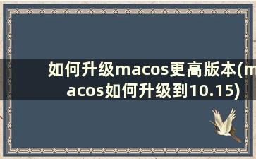 如何升级macos更高版本(macos如何升级到10.15)