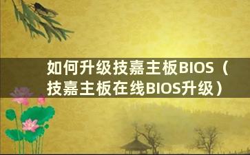 如何升级技嘉主板BIOS（技嘉主板在线BIOS升级）