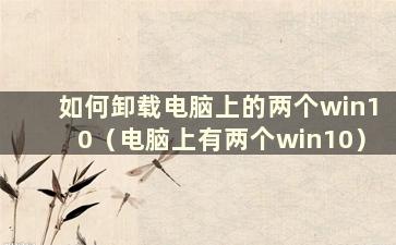 如何卸载电脑上的两个win10（电脑上有两个win10）