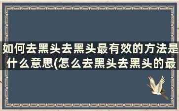 如何去黑头去黑头最有效的方法是什么意思(怎么去黑头去黑头的最好方法)