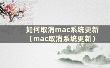 如何取消mac系统更新（mac取消系统更新）