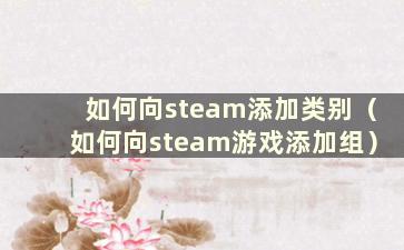 如何向steam添加类别（如何向steam游戏添加组）