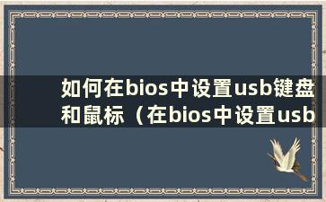 如何在bios中设置usb键盘和鼠标（在bios中设置usb鼠标）