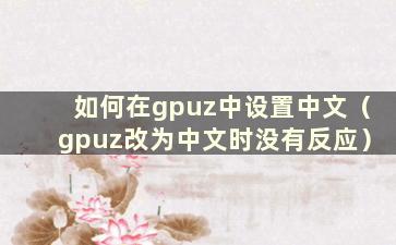 如何在gpuz中设置中文（gpuz改为中文时没有反应）