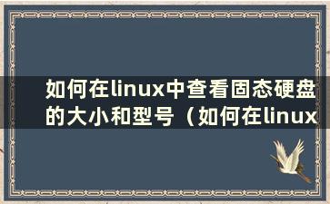 如何在linux中查看固态硬盘的大小和型号（如何在linux中查看固态硬盘的大小参数）