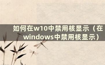 如何在w10中禁用核显示（在windows中禁用核显示）