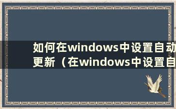 如何在windows中设置自动更新（在windows中设置自动更新时间）