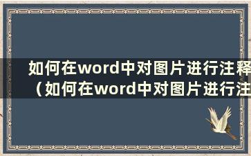 如何在word中对图片进行注释（如何在word中对图片进行注释1）