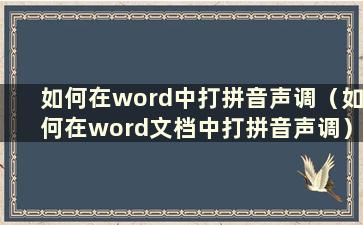 如何在word中打拼音声调（如何在word文档中打拼音声调）