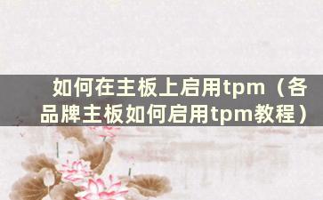 如何在主板上启用tpm（各品牌主板如何启用tpm教程）