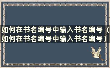 如何在书名编号中输入书名编号（如何在书名编号中输入书名编号）