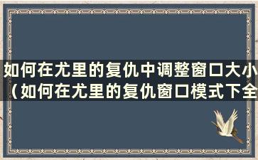 如何在尤里的复仇中调整窗口大小（如何在尤里的复仇窗口模式下全屏显示）