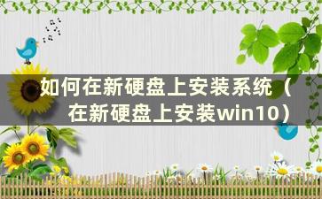 如何在新硬盘上安装系统（在新硬盘上安装win10）