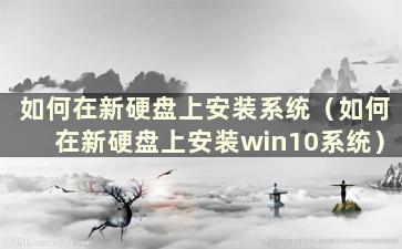 如何在新硬盘上安装系统（如何在新硬盘上安装win10系统）