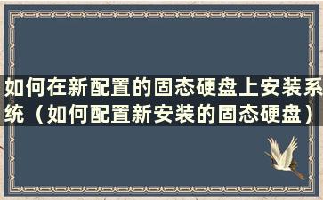 如何在新配置的固态硬盘上安装系统（如何配置新安装的固态硬盘）