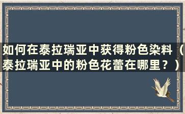 如何在泰拉瑞亚中获得粉色染料（泰拉瑞亚中的粉色花蕾在哪里？）