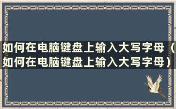 如何在电脑键盘上输入大写字母（如何在电脑键盘上输入大写字母）