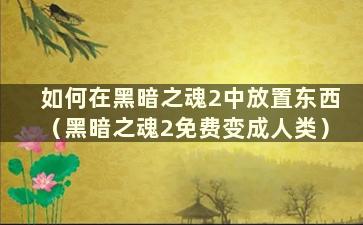 如何在黑暗之魂2中放置东西（黑暗之魂2免费变成人类）