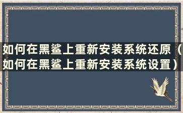 如何在黑鲨上重新安装系统还原（如何在黑鲨上重新安装系统设置）