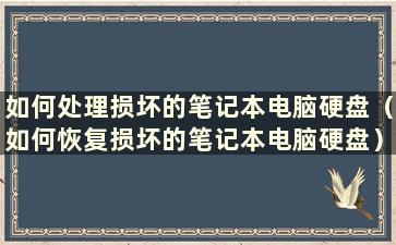 如何处理损坏的笔记本电脑硬盘（如何恢复损坏的笔记本电脑硬盘）