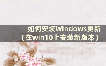 如何安装Windows更新（在win10上安装新版本）