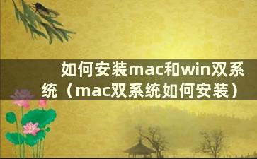 如何安装mac和win双系统（mac双系统如何安装）