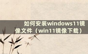 如何安装windows11镜像文件（win11镜像下载）