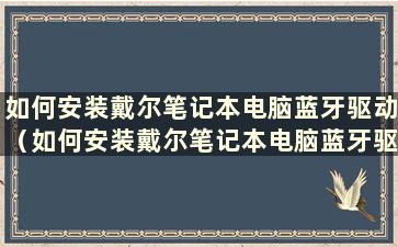 如何安装戴尔笔记本电脑蓝牙驱动（如何安装戴尔笔记本电脑蓝牙驱动视频）