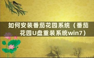 如何安装番茄花园系统（番茄花园U盘重装系统win7）