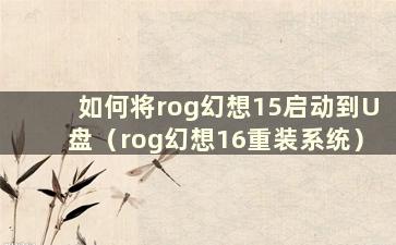 如何将rog幻想15启动到U盘（rog幻想16重装系统）