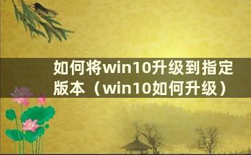 如何将win10升级到指定版本（win10如何升级）