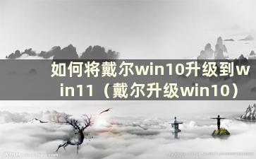 如何将戴尔win10升级到win11（戴尔升级win10）