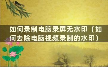 如何录制电脑录屏无水印（如何去除电脑视频录制的水印）