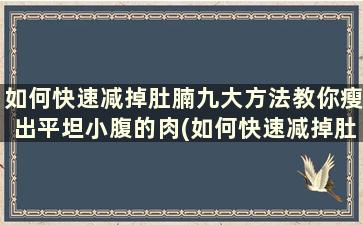 如何快速减掉肚腩九大方法教你瘦出平坦小腹的肉(如何快速减掉肚腩九大方法教你瘦出平坦小腹)