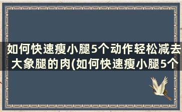 如何快速瘦小腿5个动作轻松减去大象腿的肉(如何快速瘦小腿5个动作轻松减去大象腿的肉)