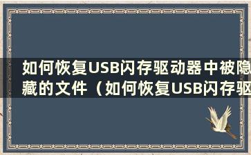 如何恢复USB闪存驱动器中被隐藏的文件（如何恢复USB闪存驱动器中被隐藏的文件）