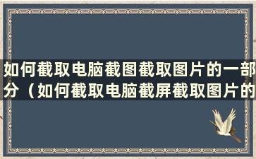 如何截取电脑截图截取图片的一部分（如何截取电脑截屏截取图片的一部分以及搜索什么）