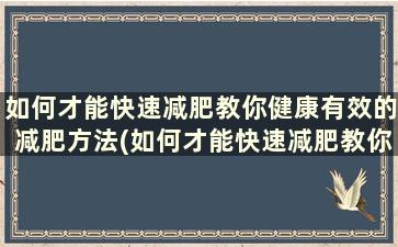 如何才能快速减肥教你健康有效的减肥方法(如何才能快速减肥教你健康有效的减肥方法)