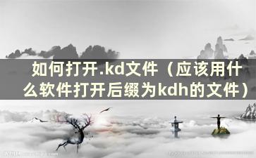 如何打开.kd文件（应该用什么软件打开后缀为kdh的文件）