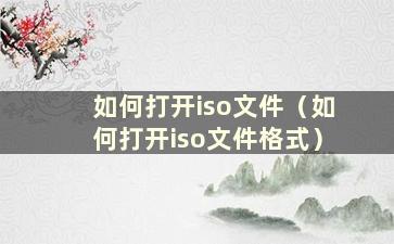 如何打开iso文件（如何打开iso文件格式）