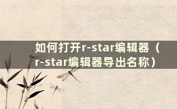 如何打开r-star编辑器（r-star编辑器导出名称）