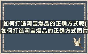 如何打造淘宝爆品的正确方式呢(如何打造淘宝爆品的正确方式图片)