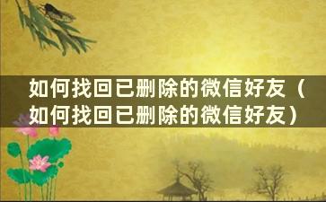 如何找回已删除的微信好友（如何找回已删除的微信好友）