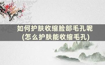 如何护肤收缩脸部毛孔呢(怎么护肤能收缩毛孔)