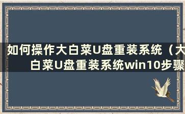 如何操作大白菜U盘重装系统（大白菜U盘重装系统win10步骤图）