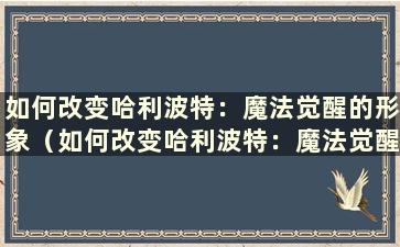 如何改变哈利波特：魔法觉醒的形象（如何改变哈利波特：魔法觉醒的形象）