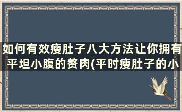 如何有效瘦肚子八大方法让你拥有平坦小腹的赘肉(平时瘦肚子的小技巧)