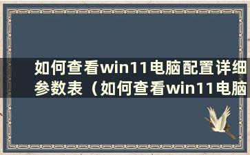 如何查看win11电脑配置详细参数表（如何查看win11电脑配置详细参数信息）