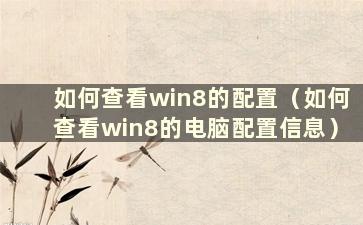 如何查看win8的配置（如何查看win8的电脑配置信息）