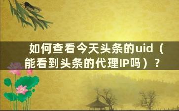 如何查看今天头条的uid（能看到头条的代理IP吗）？